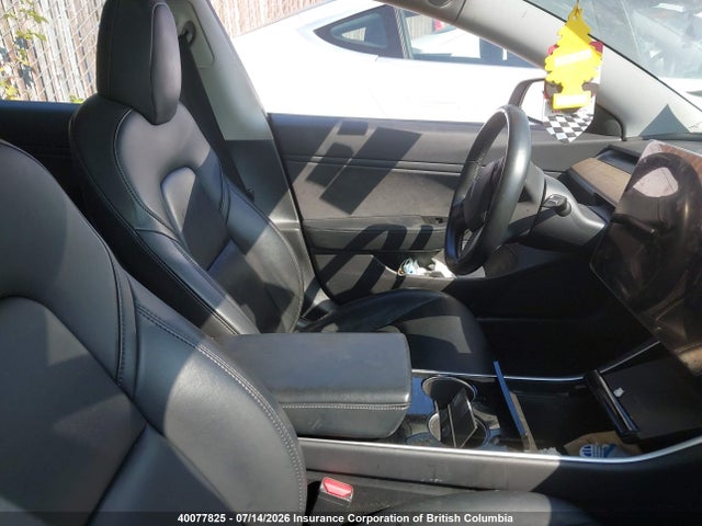 40077825 :رقم المزاد ، 5YJ3E1EA7KF321902 vin ، 2019 Tesla Model 3 مزاد بيع