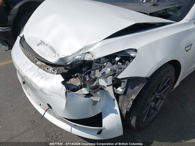 40077825 :رقم المزاد ، 5YJ3E1EA7KF321902 vin ، 2019 Tesla Model 3 مزاد بيع