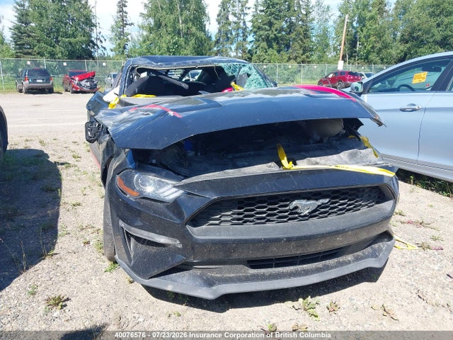 Ford Mustang 2021 1FA6P8TH2M5100461 Image 13
