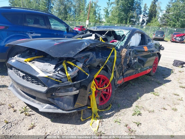 Ford Mustang 2021 1FA6P8TH2M5100461 Image 2