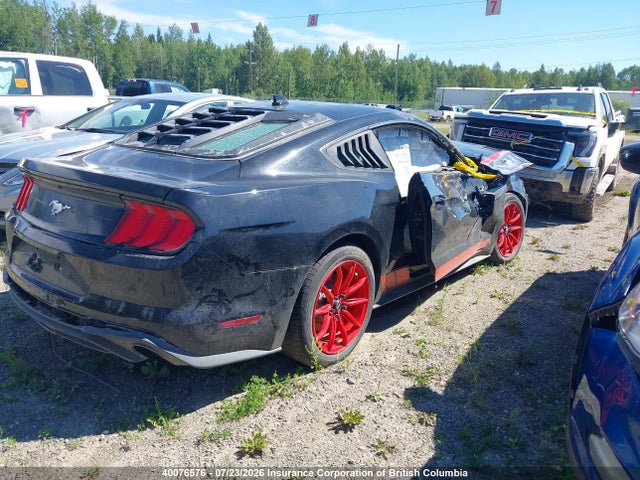 Ford Mustang 2021 1FA6P8TH2M5100461 Image 4
