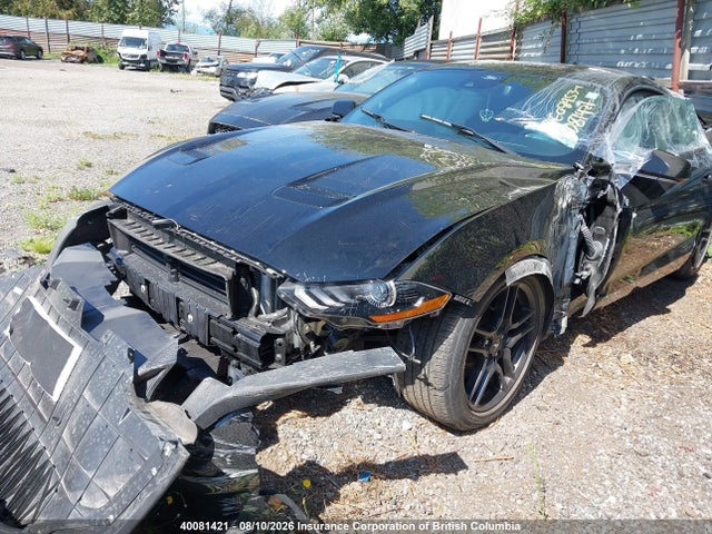 Ford Mustang 2022 1FA6P8TH6N5109794 Image 6