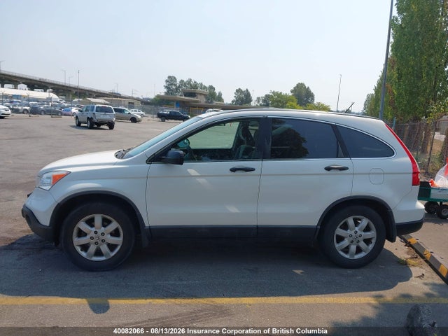 Продаж на аукціоні авто 2009 Honda Cr-v, vin: 5J6RE48569L803109, номер лоту: 40082066