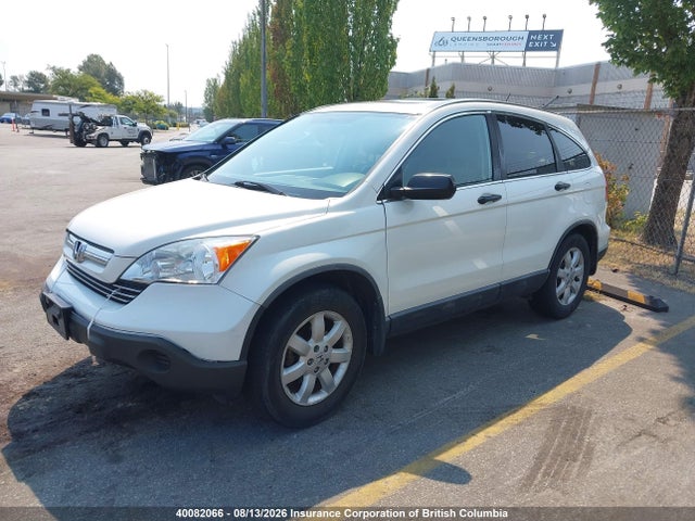 Продаж на аукціоні авто 2009 Honda Cr-v, vin: 5J6RE48569L803109, номер лоту: 40082066