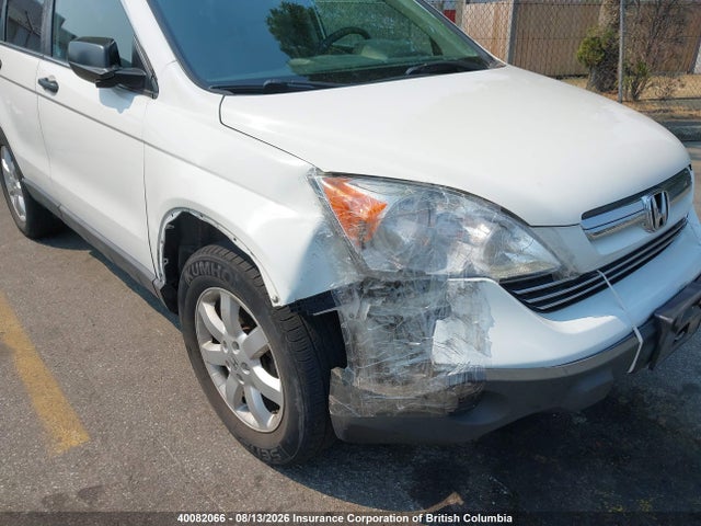 Продаж на аукціоні авто 2009 Honda Cr-v, vin: 5J6RE48569L803109, номер лоту: 40082066