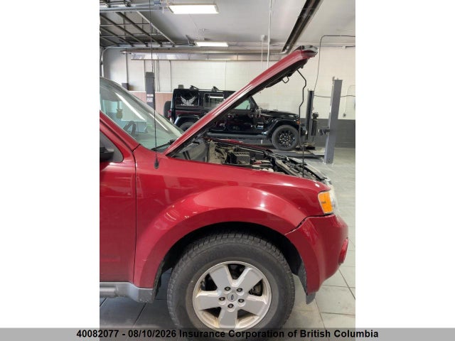 Продаж на аукціоні авто 2011 Ford Escape Xlt Automatic, vin: 1FMCU0D74BKB93992, номер лоту: 40082077