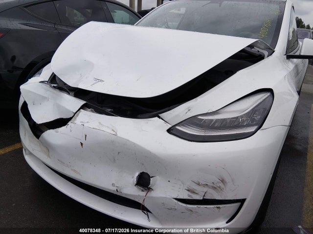 Tesla Model Y 2020 5YJYGDEE0LF029076 Image 6