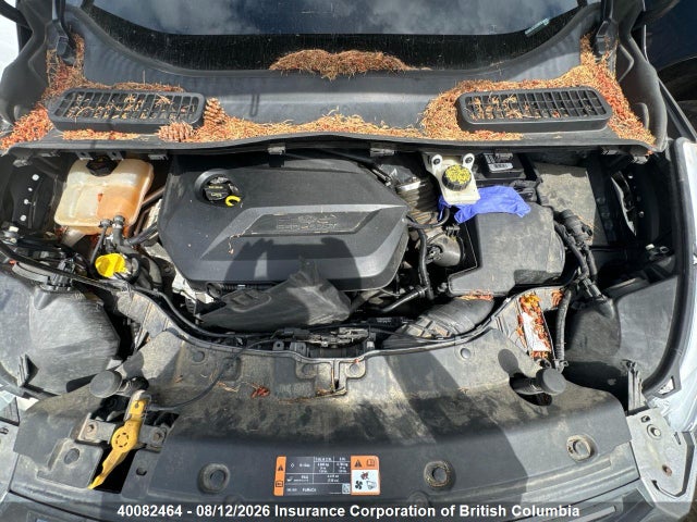 Ford ESCAPE SE 2014 1FMCU9GX8EUD34572 Image 14