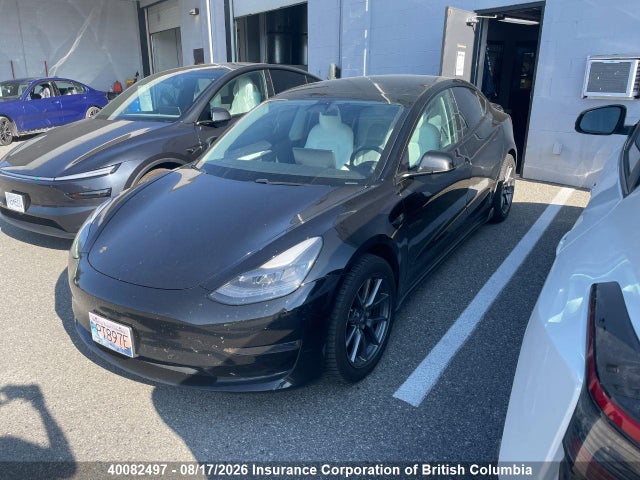 Tesla MODEL 3 2021 5YJ3E1EA5MF084118 Image 2