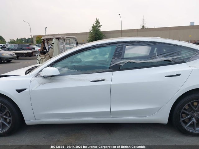 40082664 :رقم المزاد ، LRW3E1FA1PC891717 vin ، 2023 Tesla Model 3 مزاد بيع