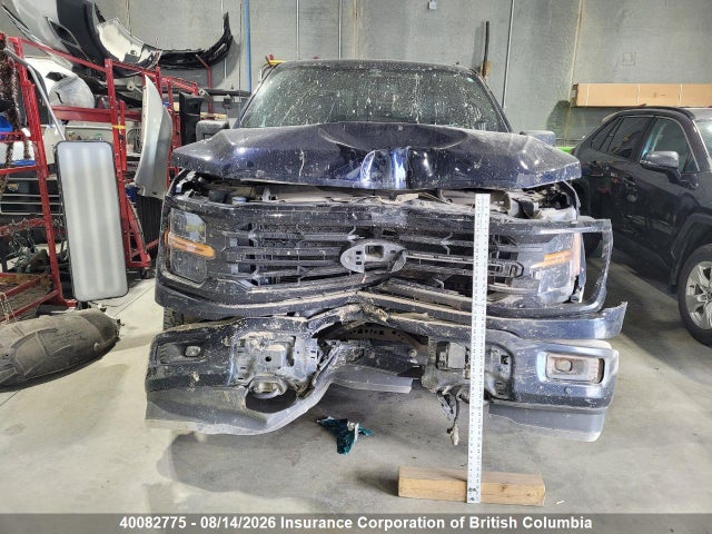 Продажа на аукционе авто 2024 Ford F150, vin: 1FTFW3L59RFA65439, номер лота: 40082775