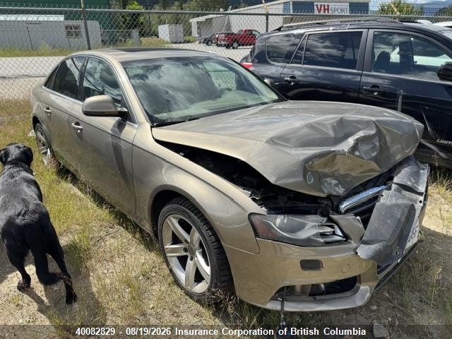 Продаж на аукціоні авто 2009 Audi A4, vin: WAULF58K09N034063, номер лоту: 40082829