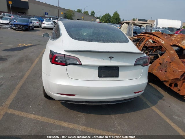 Tesla MODEL 3 2020 5YJ3E1EA0LF625672 Image 17