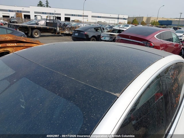 Tesla MODEL 3 2020 5YJ3E1EA0LF625672 Image 21