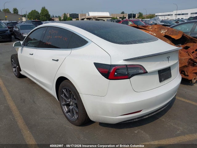 Tesla MODEL 3 2020 5YJ3E1EA0LF625672 Image 3