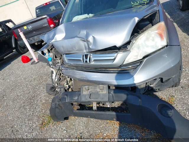 Продаж на аукціоні авто 2007 Honda Cr-v Exl, vin: 5J6RE48737L815880, номер лоту: 40081619