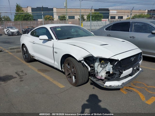 2019 Ford Mustang Gt მანქანა იყიდება აუქციონზე, vin: 1FA6P8CF4K5176131, აუქციონის ნომერი: 40083243