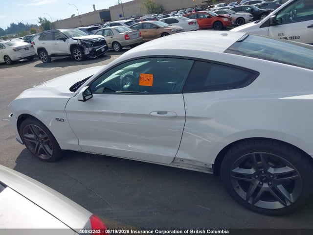 Продажа на аукционе авто 2019 Ford Mustang Gt, vin: 1FA6P8CF4K5176131, номер лота: 40083243