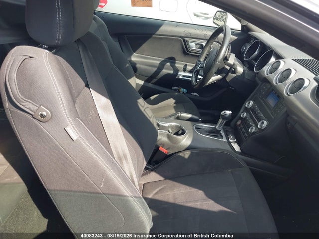 Продажа на аукционе авто 2019 Ford Mustang Gt, vin: 1FA6P8CF4K5176131, номер лота: 40083243