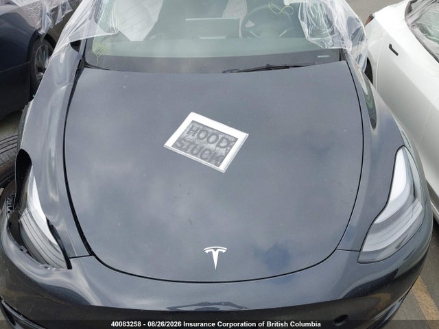 Tesla Model Y 2024 7SAYGDEE3RF015734 Image 10