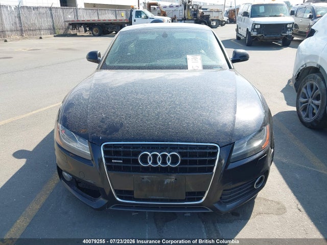 Продажа на аукционе авто 2008 Audi A5 Quattro, vin: WAUDK78T38A036867, номер лота: 40079255