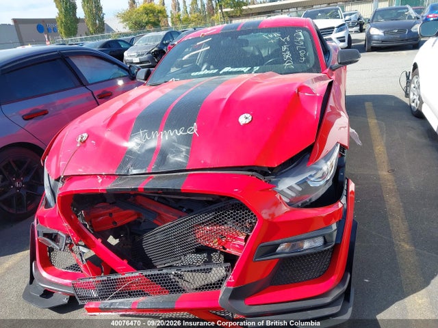 Ford Mustang 2017 1FA6P8TH8H5282351 Image 13