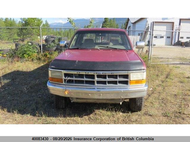 1994 Dodge Dakota მანქანა იყიდება აუქციონზე, vin: 1B7GG23Y1RS567018, აუქციონის ნომერი: 40083430