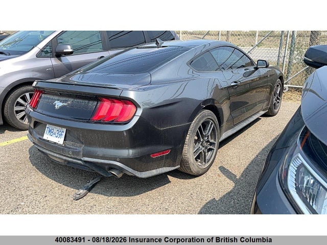 1FA6P8TH1L5140223 Ford Mustang
