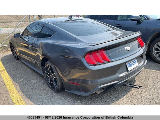 1FA6P8TH1L5140223 Ford Mustang