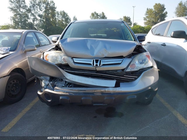 Продаж на аукціоні авто 2007 Honda Cr-v Ex, vin: 5J6RE48567L809649, номер лоту: 40078893