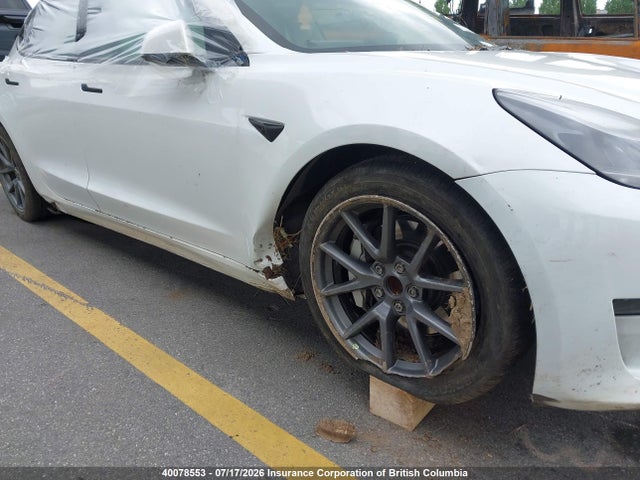 Tesla MODEL 3 2023 5YJ3E1EA2PF484030 Image 6