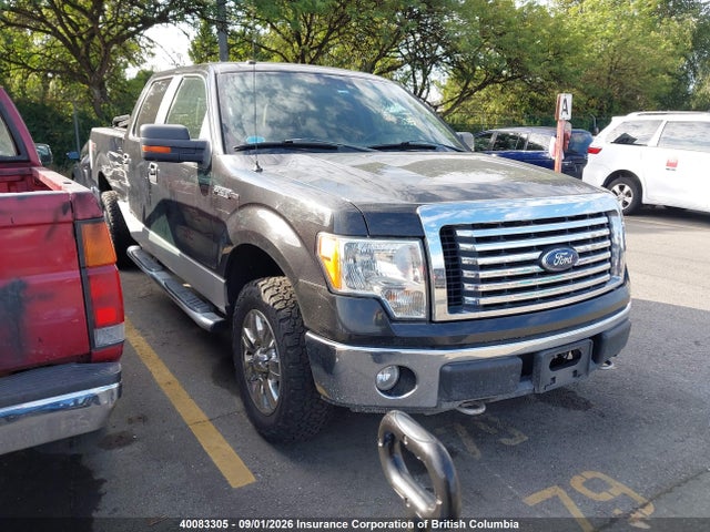40083305 :رقم المزاد ، 1FTFW1EV5AFC66499 vin ، 2010 Ford F150 Supercrew مزاد بيع