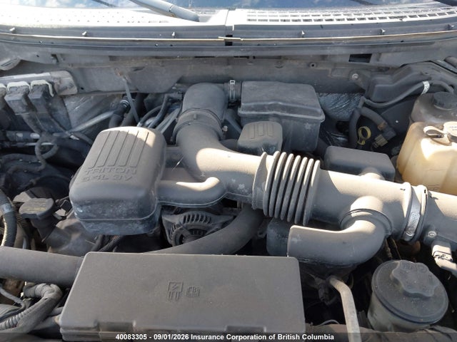40083305 :رقم المزاد ، 1FTFW1EV5AFC66499 vin ، 2010 Ford F150 Supercrew مزاد بيع