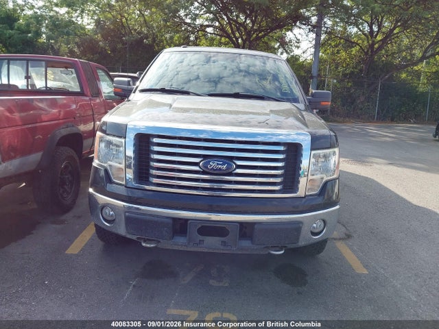 40083305 :رقم المزاد ، 1FTFW1EV5AFC66499 vin ، 2010 Ford F150 Supercrew مزاد بيع