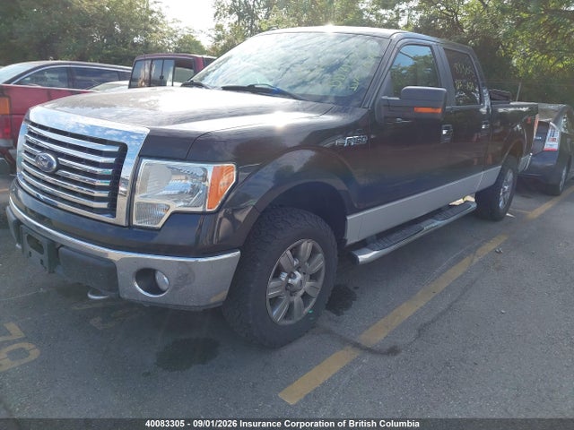 40083305 :رقم المزاد ، 1FTFW1EV5AFC66499 vin ، 2010 Ford F150 Supercrew مزاد بيع