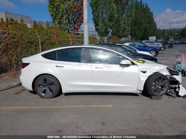 Tesla MODEL 3 2021 5YJ3E1EA8MF871743 Image 14