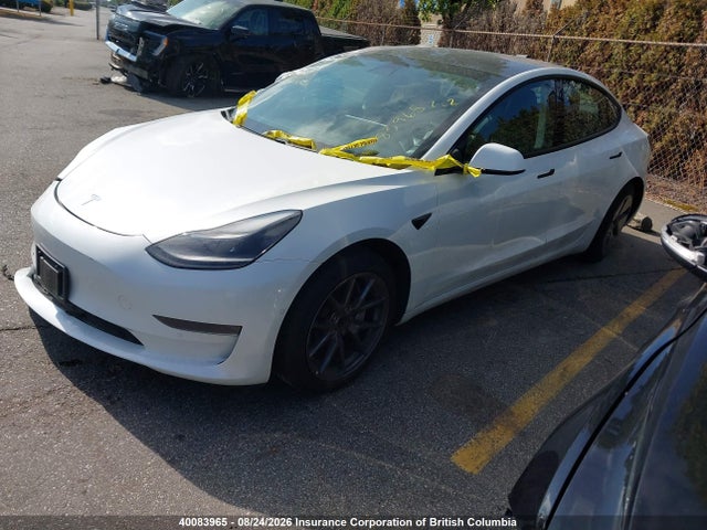 Tesla MODEL 3 2021 5YJ3E1EA8MF871743 Image 2
