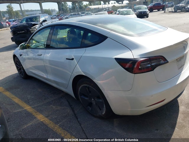 Tesla MODEL 3 2021 5YJ3E1EA8MF871743 Image 3