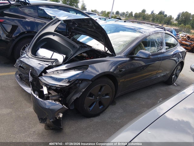 Tesla MODEL 3 2021 5YJ3E1EA0MF057988 Image 2