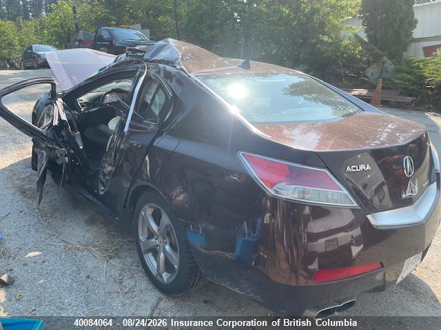 Продажа на аукционе авто 2009 Acura Tl, vin: 19UUA96239A800120, номер лота: 40084064