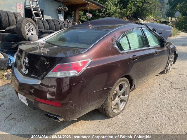 Продажа на аукционе авто 2009 Acura Tl, vin: 19UUA96239A800120, номер лота: 40084064