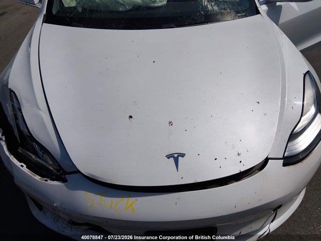 Tesla MODEL 3 2020 5YJ3E1EA5LF738744 Image 10