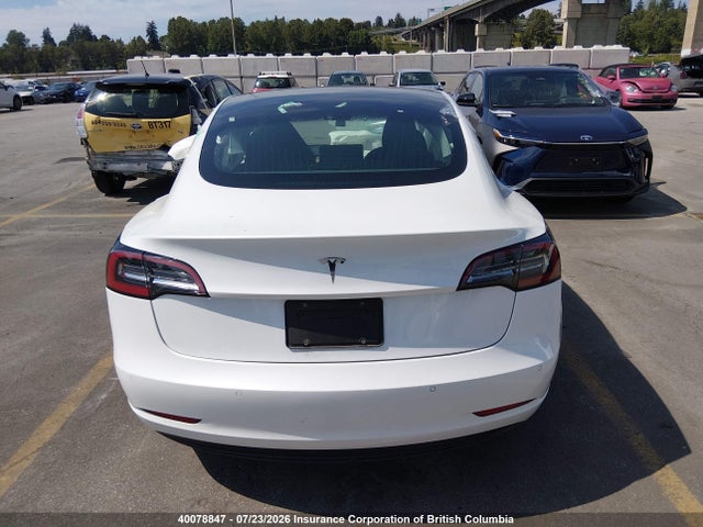 Tesla MODEL 3 2020 5YJ3E1EA5LF738744 Image 17
