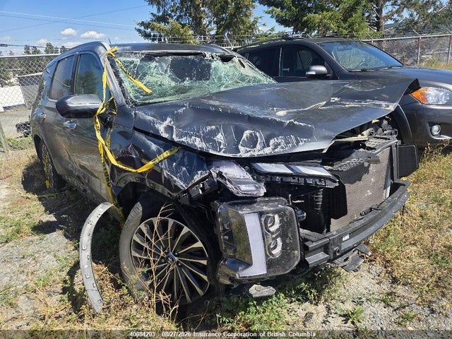 Hyundai Palisade Limited 2024 KM8R5DGE2RU785687 главное изображение