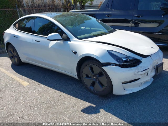Продаж на аукціоні авто 2021 Tesla Model 3, vin: 5YJ3E1EA9MF061361, номер лоту: 40084393