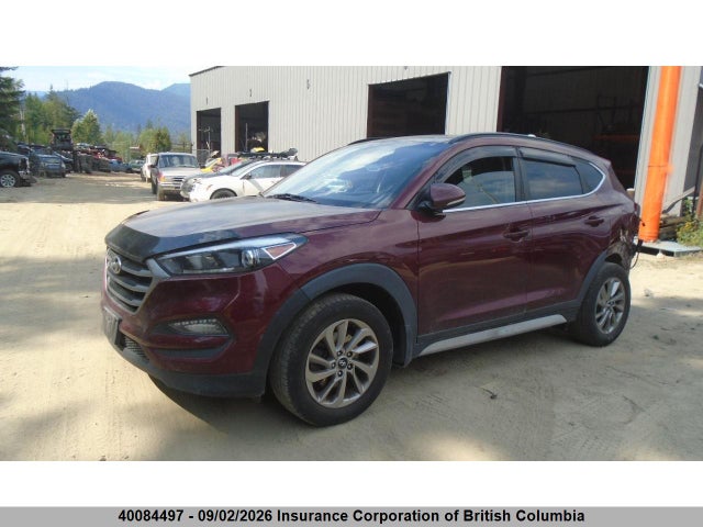 Hyundai Tucson Luxury 2017 KM8J3CA41HU498983 Image 2