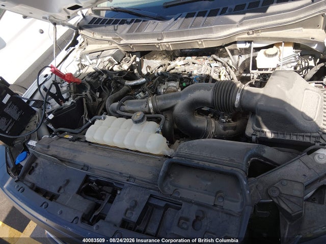 Продаж на аукціоні авто 2024 Ford F-150 Xl, vin: 1FTMF1KP8RKF57479, номер лоту: 40083509