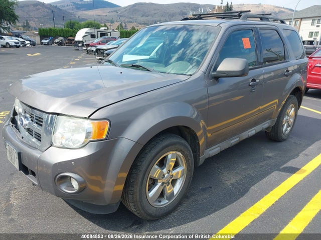 Продажа на аукционе авто 2010 Ford Escape Xlt, vin: 1FMCU9D78AKC91619, номер лота: 40084853