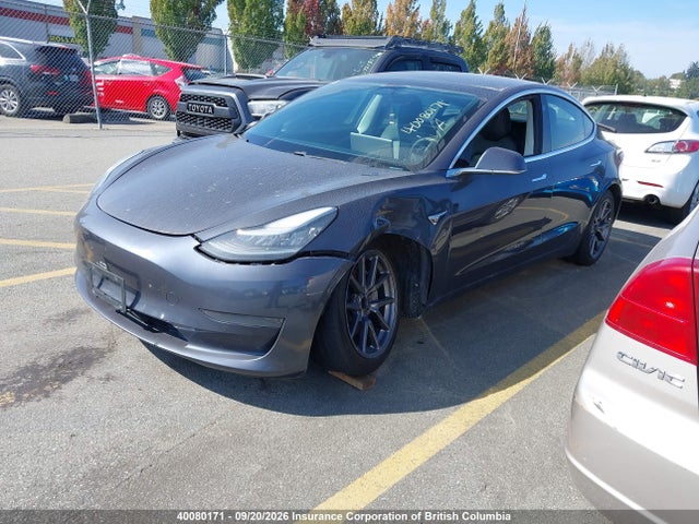 5YJ3E1EA8LF742495 Tesla MODEL 3