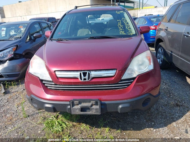 Продаж на аукціоні авто 2007 Honda Cr-v Exl, vin: 5J6RE48747L806072, номер лоту: 40084507